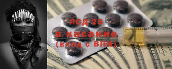 прущие грибы Балабаново