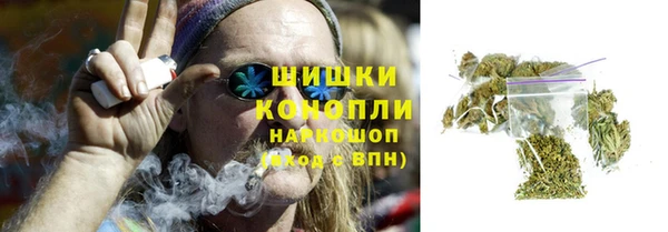 прущие грибы Балабаново