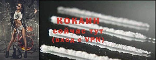 прущие грибы Балабаново