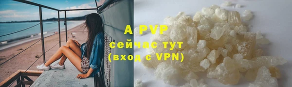 прущие грибы Балабаново