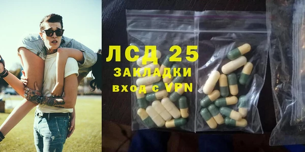 прущие грибы Балабаново