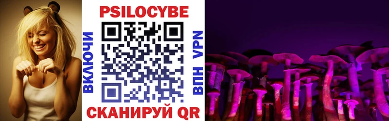 Галлюциногенные грибы Psilocybine cubensis  Ефремов 